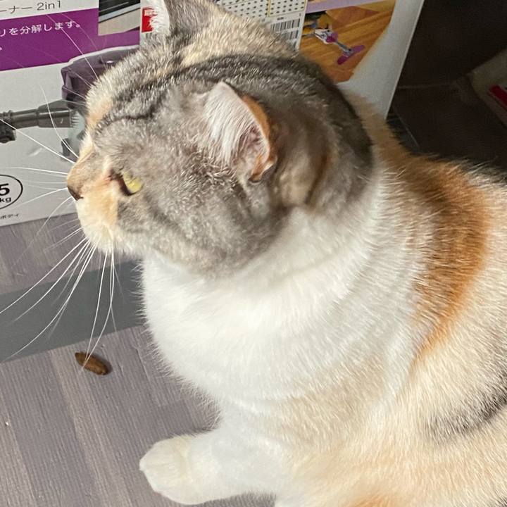 C0e36309 a795 4287 8c82 5de3e251e930 1643516202673