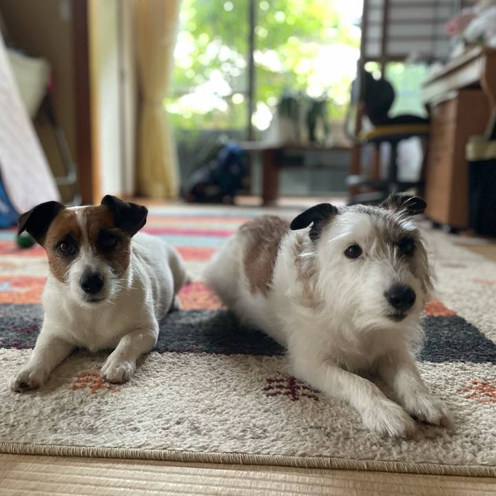 C0e38972 d794 4e83 bbe7 afef1cd52d0a 1749624107183