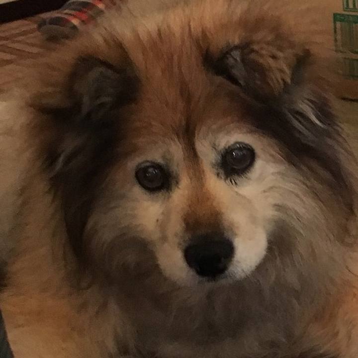 C0e39a40 c856 41a4 b6c3 bf3ef86a6168 1608440236256