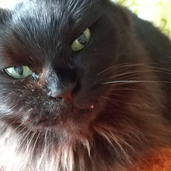 C0e3c04f dbcf 4f23 9125 ff976ce29992 1606801311840