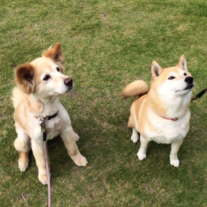 C0e3e089 6180 4739 b8ed b2d7c5072790 1534209746904