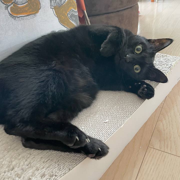 C0e3eeab de16 4611 bcc8 82583d6aa3d6 1680696055133