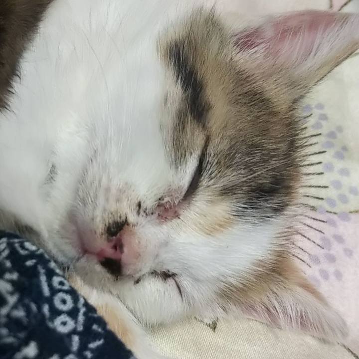 C0e447b8 961f 4e85 bdf0 45b52554a1e5 1632736444470