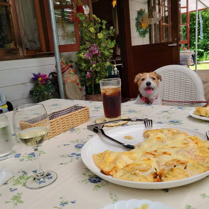 C0e4488a 12f1 4381 bb1b c902be5500e7 1691294224681