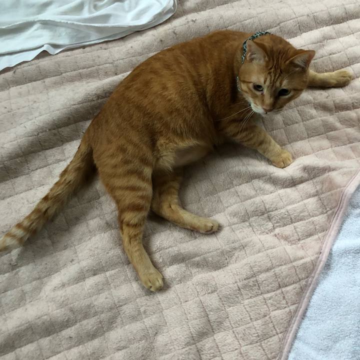 C0e44aca 65e2 4eb9 bd51 c02bc1a48973 1560851825732