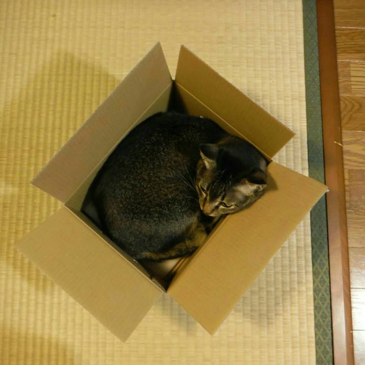 C0e454e2 0451 4e6d 9b4d 9aa895208062 1537688757716