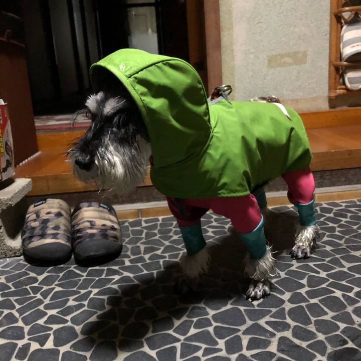 C0e4da3d af91 44c6 b6ae 7b3d9bdb7845 1682426439408