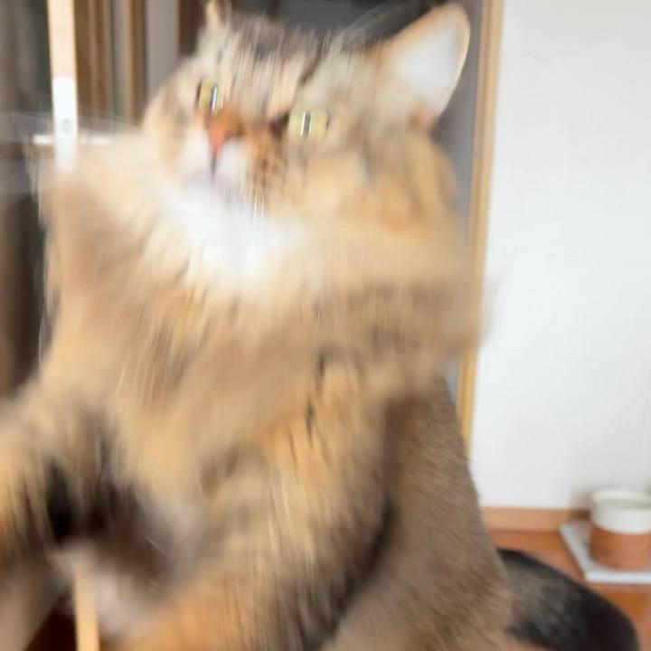 C0e51f81 4592 4ac6 9d5d 578c09fc73e4 1776476271100