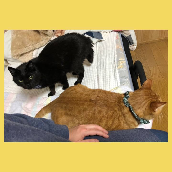 C0e53650 84be 4772 b193 d39f5588a843 1585912794005