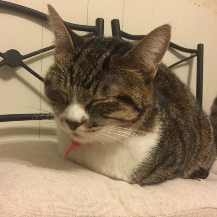 C0e5596a 966d 4896 b999 1f605253fe68 1547904568372