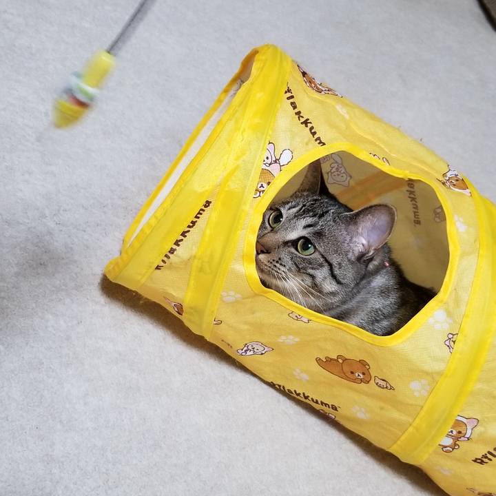 C0e55d5e 9321 4aaa b0e2 d1068149b845 1685769212812