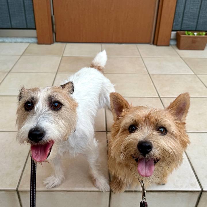 C0e57490 5c2e 4f51 b87e c1ac30c29f0e 1755117004590