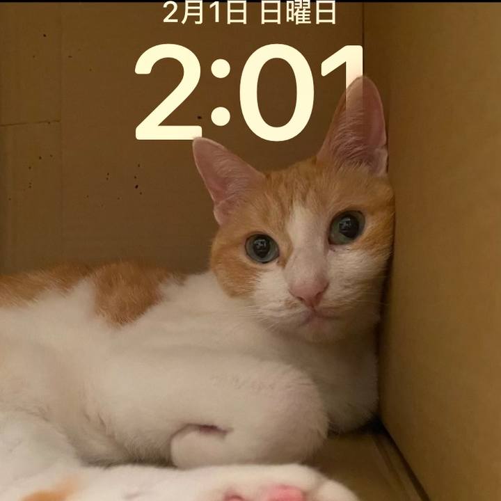 C0e57850 0d9f 4291 b55d d60ef9804641 1769879006868