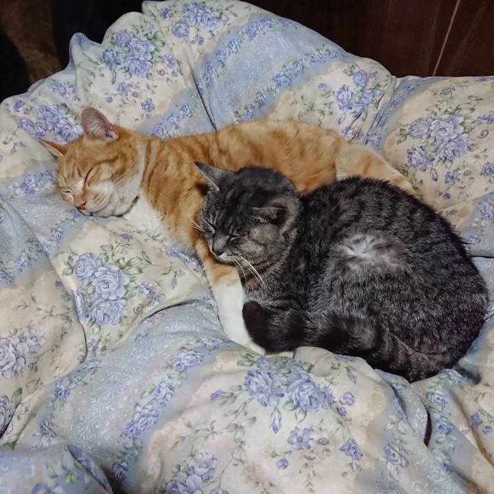 C0e57924 3777 4cba bb6a ece72a94644c 1581683100299