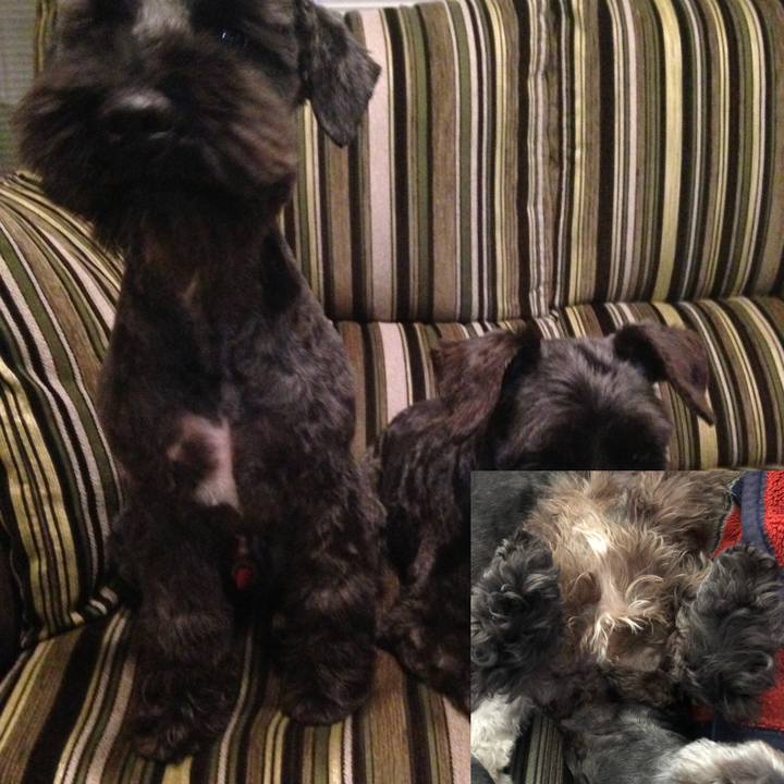 C0e59e44 475a 49fb b451 08eee7fa2af6 1537758534496