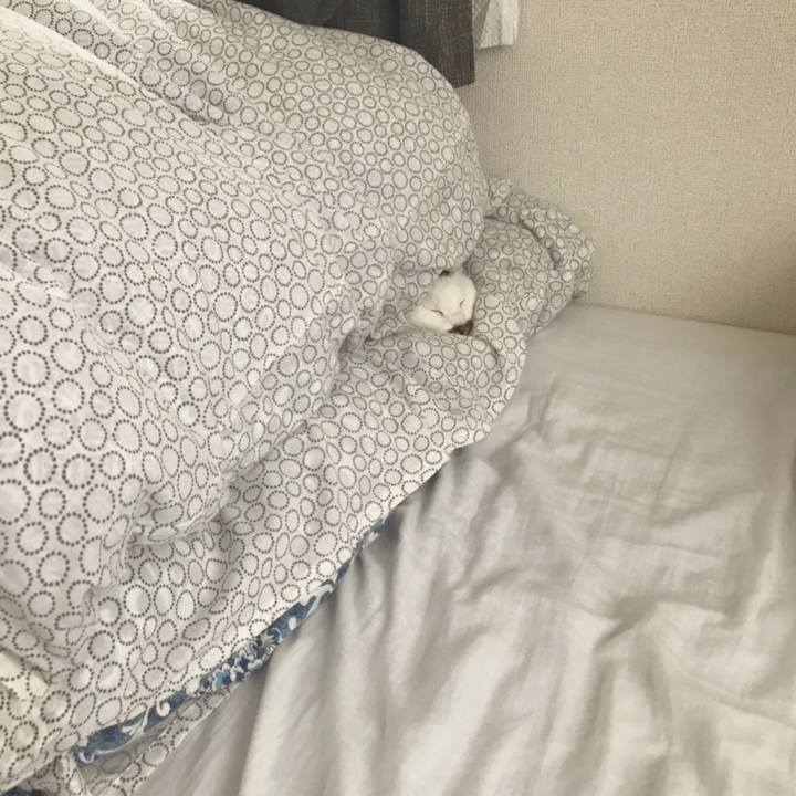 C0e5ba79 90f6 442f 94bf b592c9084a4e 1543379302459