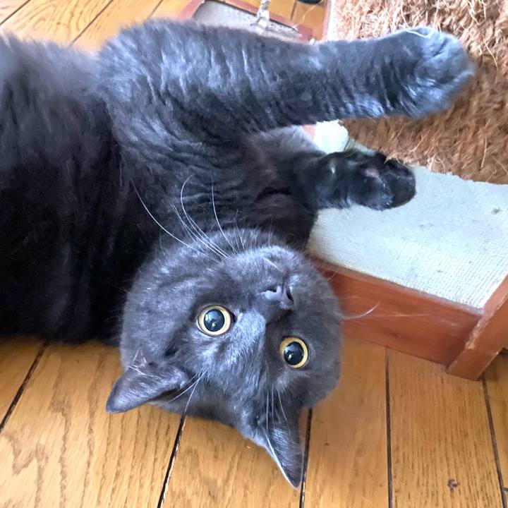 C0e5e14b 12dc 4195 b774 740cc1dbb0d7 1758493321570