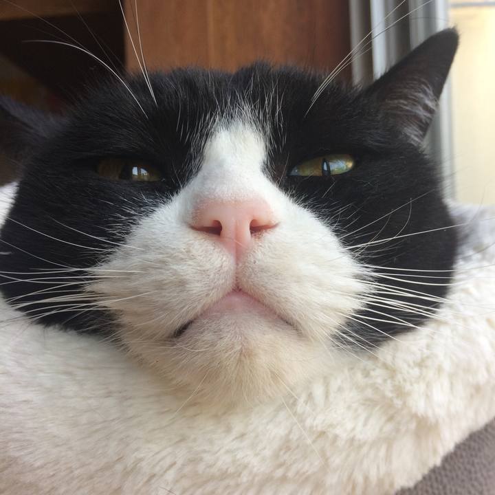 C0e603b0 2e40 4221 8d88 72df69dbad66 1544917633756