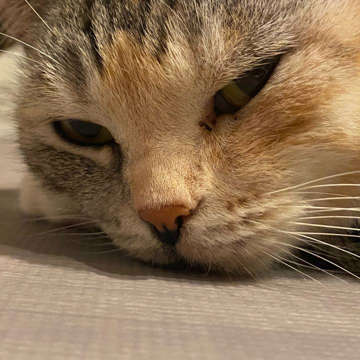 C0e609a2 f408 4407 9d71 8921e2b6d5b0 1625293060816