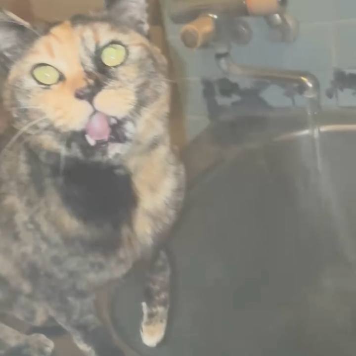 C0e60bb1 fb1e 41af 8969 c84c76ef2ae9 1769718499486