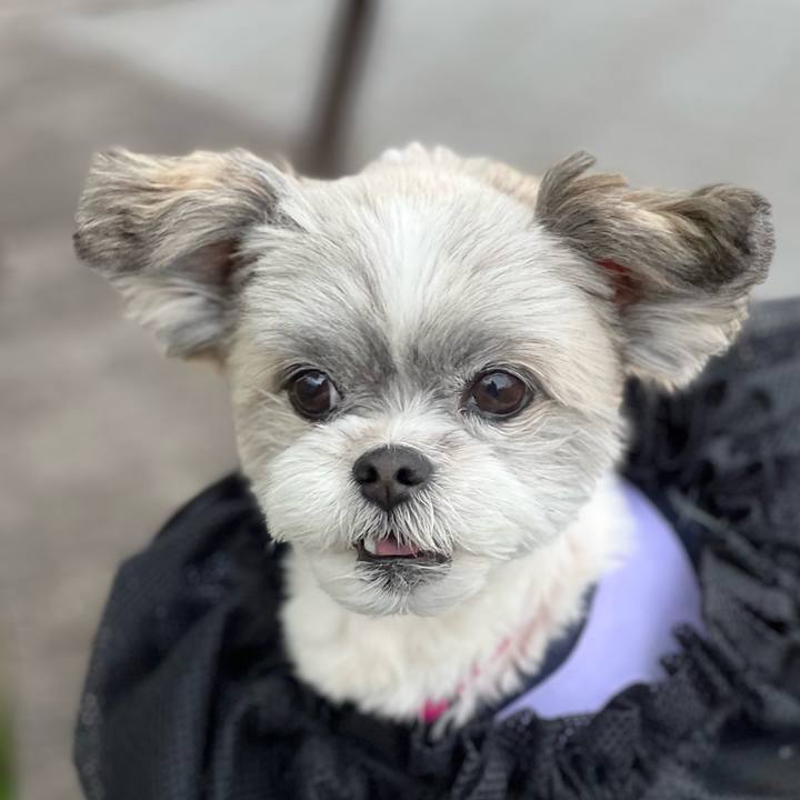 C0e61f49 cb49 4547 aa9f 44452ab1660b 1683984763843