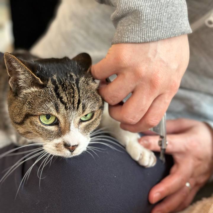 C0e620ac 1e51 40d0 bed6 64d04da3ca9d 1680314389758