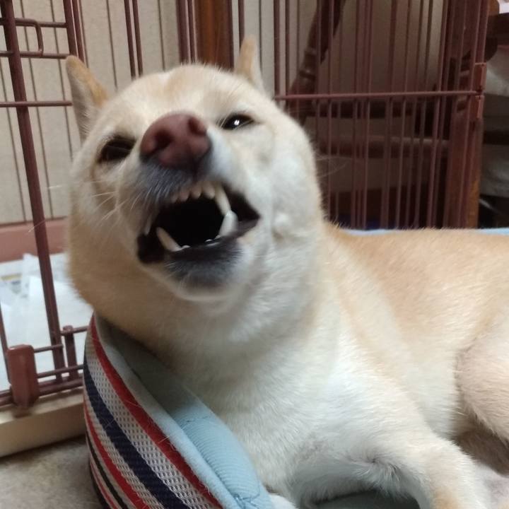 C0e621d1 af54 4991 96b6 93c44936ea79 1570534560334