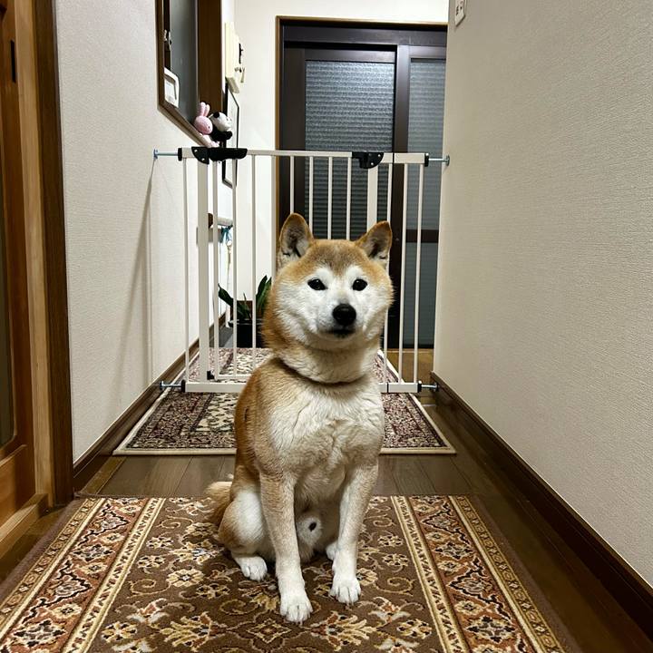 C0e62eea e654 4c34 bae0 e06b982bada5 1711450885949