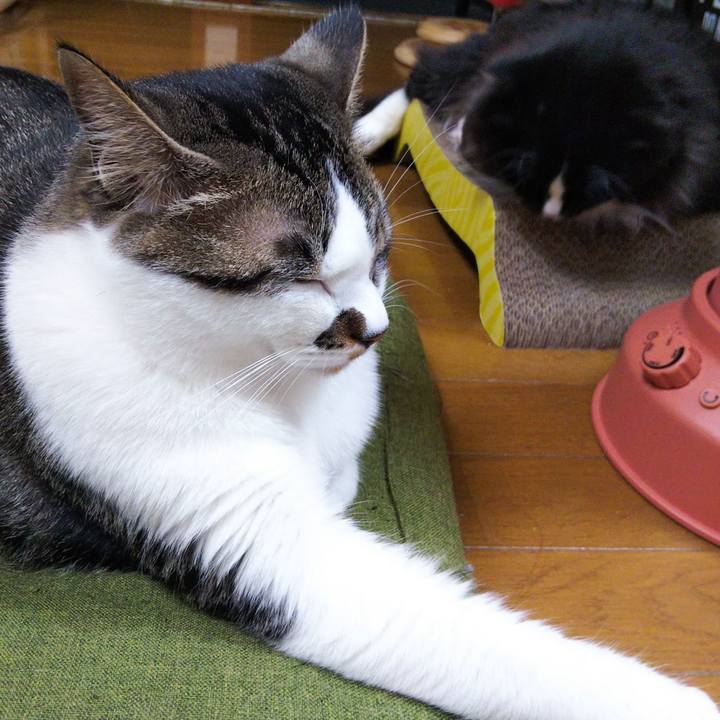 C0e62fb3 09fd 4cf6 bf82 24c852a15518 1652261623594