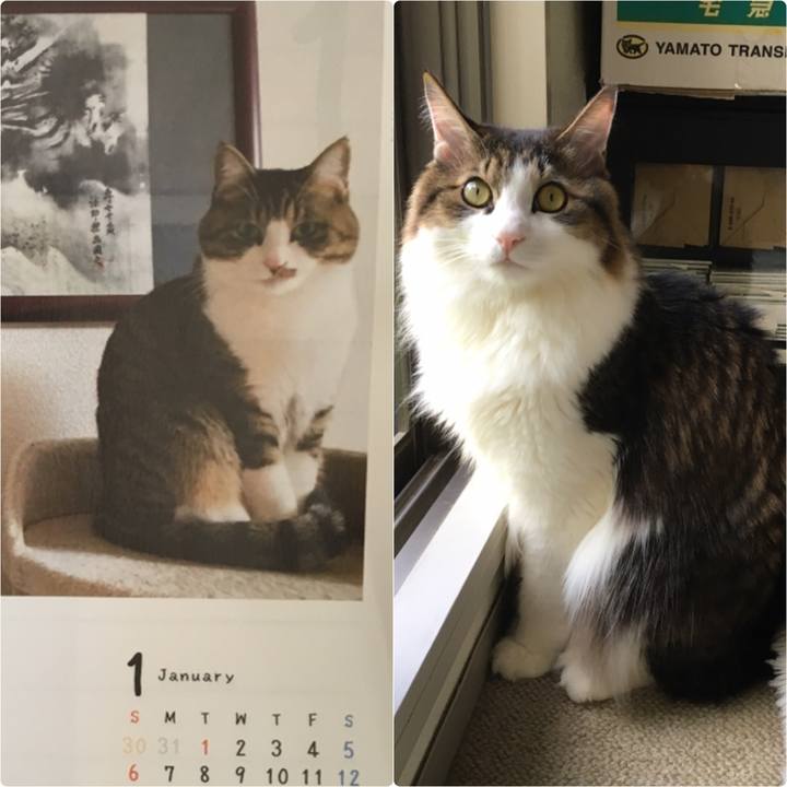 C0e641fb e3b5 4525 9eb6 eb0ef03794eb 1547964750378