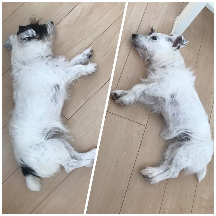 C0e654c4 2bf1 4e07 8b24 61c4250551b2 1534214523606