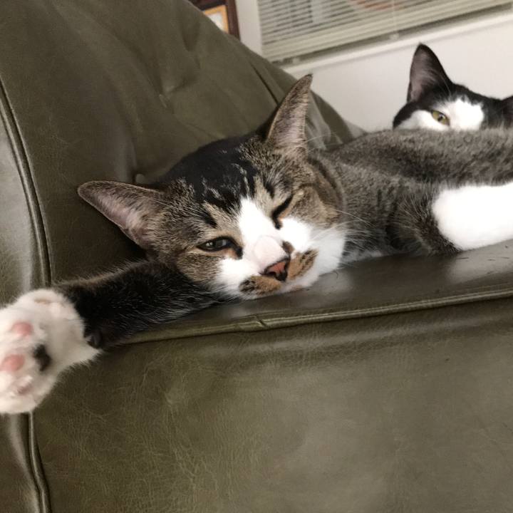 C0e6e0da 1414 4c37 b535 6bd4bce0ca50 1536979843649