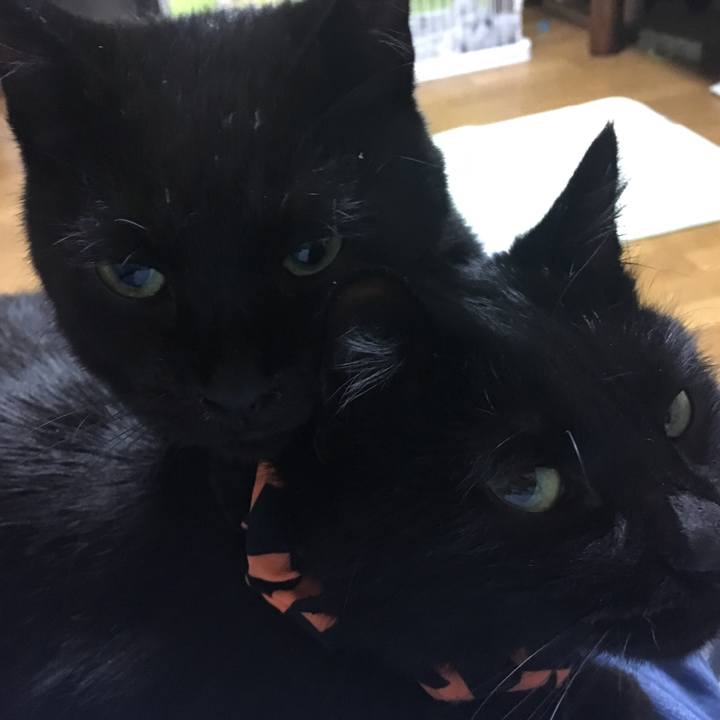 C0e6f445 9d98 46fb 9ca7 6c30c548be62 1540902883493