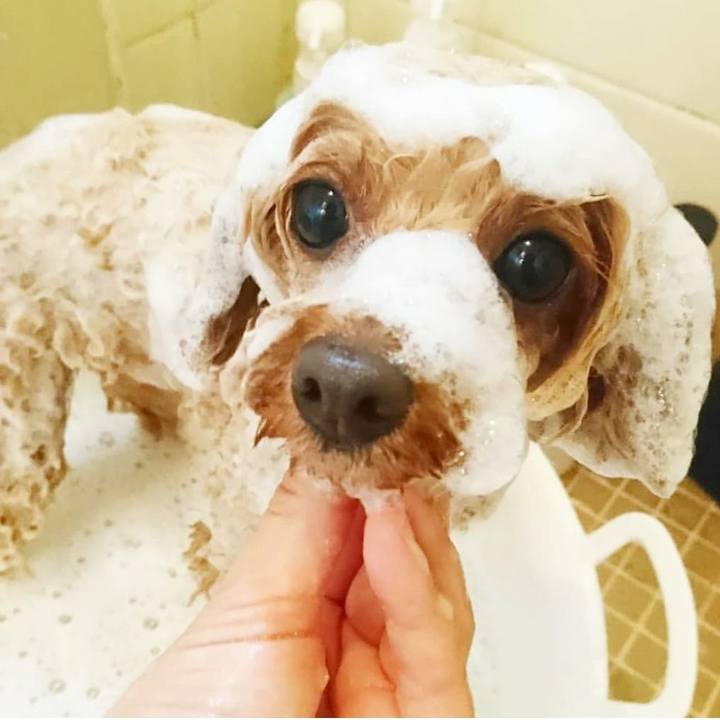 C0e70dc4 26d9 4933 89fb 5f9200125400 1585230125133