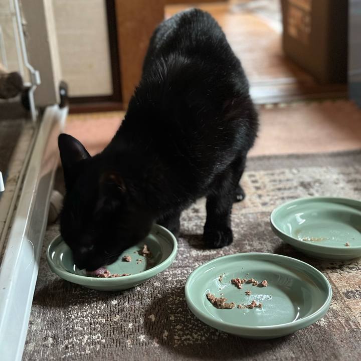 C0e72c1a 6992 4b78 8c0d 3c386be66768 1693440937737