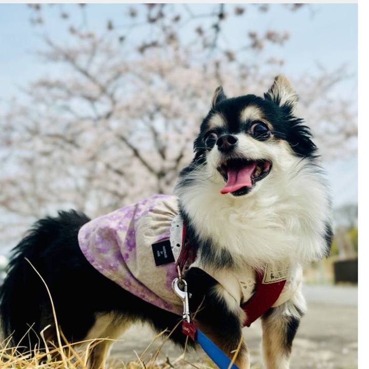 C0e77e9b 2a9b 49e3 9290 f729ad66a01a 1763170634434