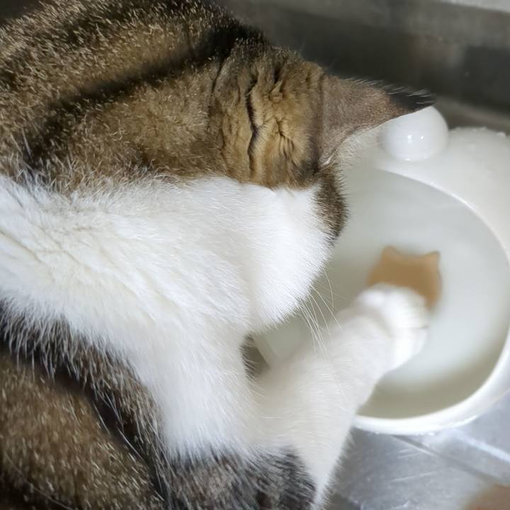 C0e7906b eb47 40e5 96e5 5b9ea3755074 1681988740973