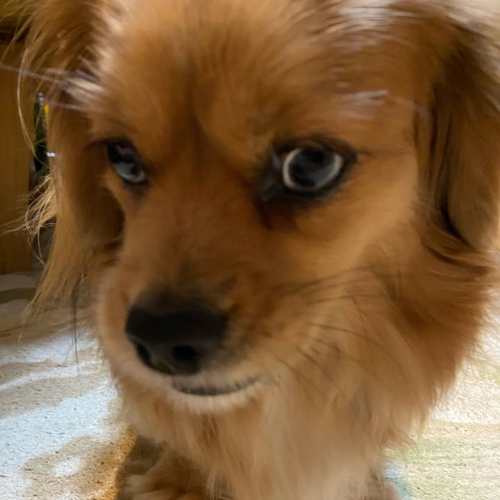 C0e7d596 8d5c 4963 9e14 be79257e794d 1579471985878