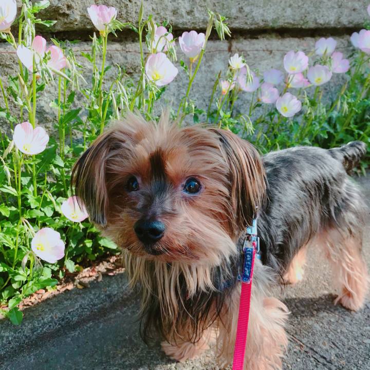 C0e7dd33 2efd 440d bc84 0bfd2f8b26ae 1524287635071