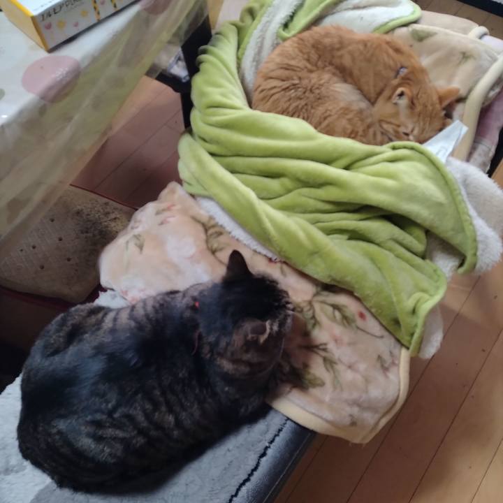 C0e80797 e346 4b7e a1b5 c98e7bbfa1ca 1675562222194