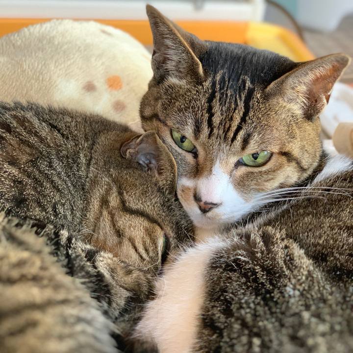 C0e8480d 2fb2 4f2d aeab 99a3fbd093de 1584494139891