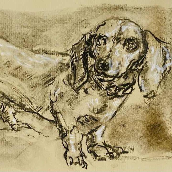 C0e85bda 09ab 42d6 b85a c7978d9639c1 1758546037572