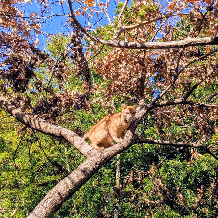 C0e86385 5846 4e55 99d2 04076336c65d 1767713254381