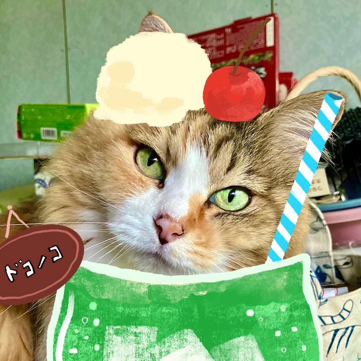 C0e86767 8ccf 4214 9f2d b5e75c41e5af 1755342792169