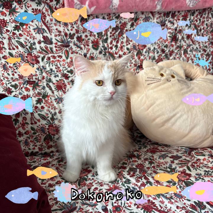 C0e88527 00be 48bc bd9b e2a927f12c6f 1755304644273