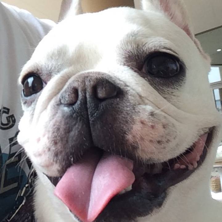 C0e8b4b7 6f85 4d03 83c3 e72a6783bee0 1529233096156