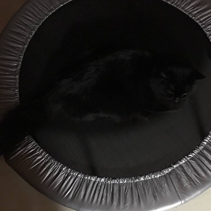 C0e8b5e1 3ed2 460e 8545 6c7de42e74cc 1514817919029