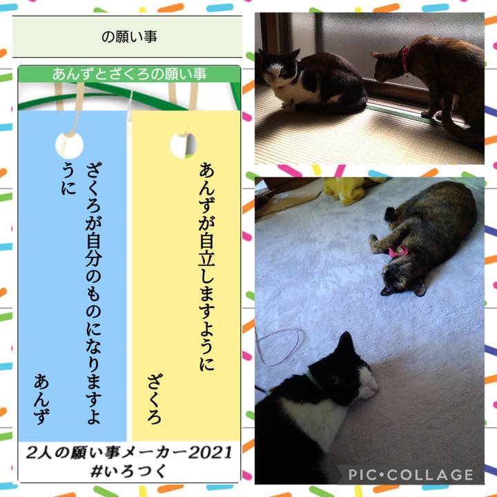 C0e8b8b8 3136 4de4 a459 927224890aa4 1657200837111