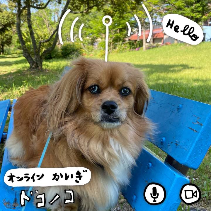 C0e8db87 a750 4e44 946f 3cc672826b93 1590795117351