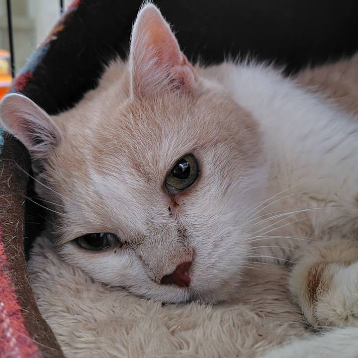 C0e8dff0 bbca 4272 80a6 46d0413acaf8 1756334096440